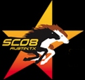 SC08