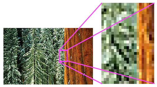 A graphic showing an image of a forest with a zoomed in section to demonstrate pixels.