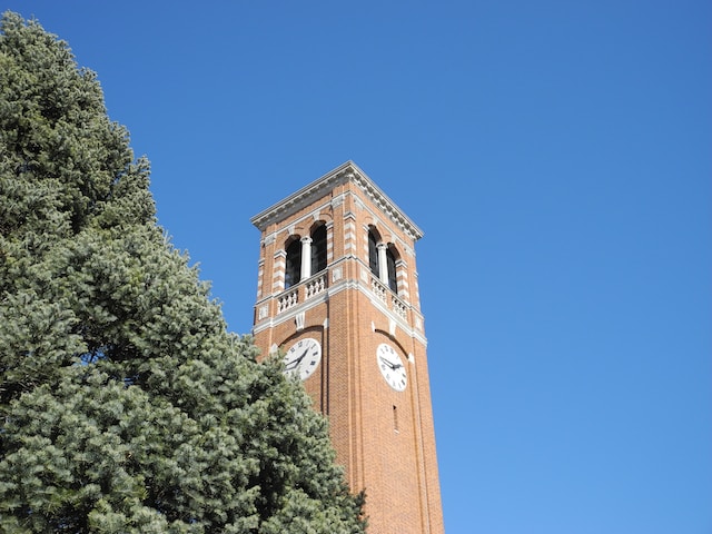 another copy of the same image