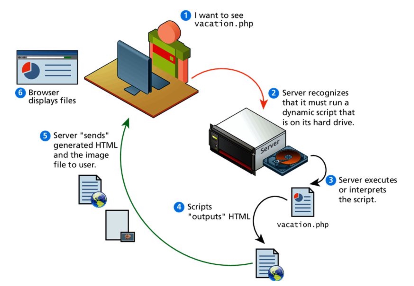 a cartoon showing the process of a user requesting a dynamic web page from the server; after running a script to generate the page, the server sends the page to the client, where the browser displays the result to the user