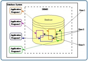 a database serving several application programs