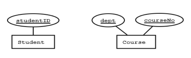 the Student and Course entities